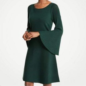 Ann Taylor Bell Sleeved Fit and Flare Sweater Dress